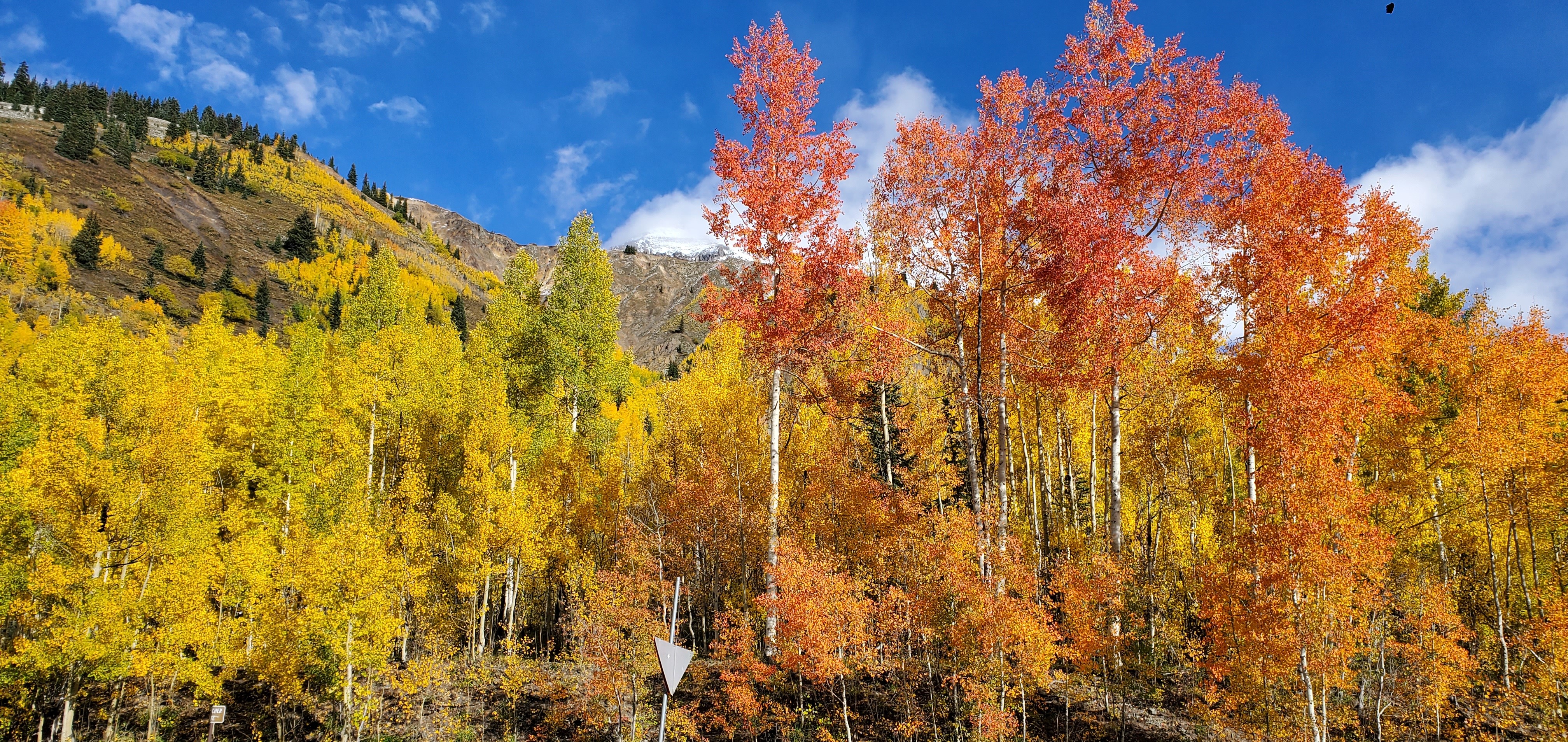 Fall 2022 western Colorado
